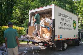 Best Hoarding Cleanup  in Wren, AR